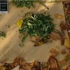 Powiat krakowski: Przydrożny stragan z marihuaną