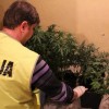 Policjanci rozbili grupę przestępczą  trudniąca się sprzedażą środków odurzających
