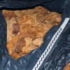 Kolejne nielegalne produkcje wyrobów tytoniowych w Małopolsce zlikwidowane