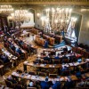 Kraków : Zadbają o miejską zieleń