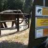 Scena STU i krakowskie ZOO zapraszają na spektakl