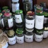 Dotkliwy cios w przestępczość narkotykową. Policjanci zabezpieczyli ponad 11kg marihuany