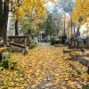 Wszystkich Świętych 2015 - Sprawdź jak dojechać na cmentarze