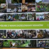 Pierwszy rok działalności Zarządu Zieleni Miejskiej [ zdjęcia ]