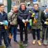 Przybędzie zieleni na Alejach Trzech Wieszczów